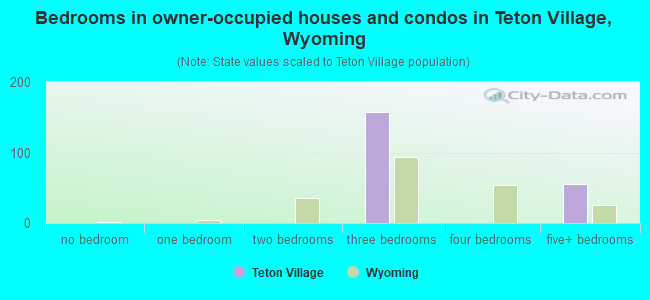 Bedrooms in owner-occupied houses and condos in Teton Village, Wyoming