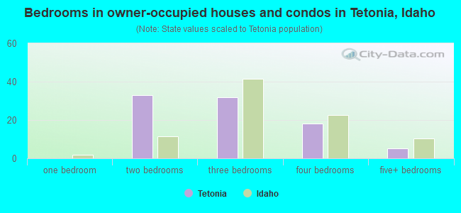 Bedrooms in owner-occupied houses and condos in Tetonia, Idaho