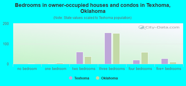Bedrooms in owner-occupied houses and condos in Texhoma, Oklahoma