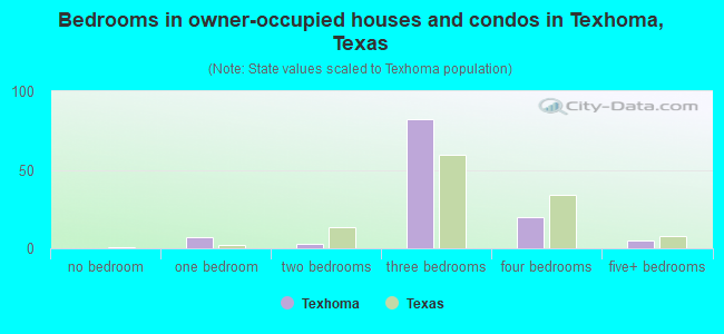 Bedrooms in owner-occupied houses and condos in Texhoma, Texas