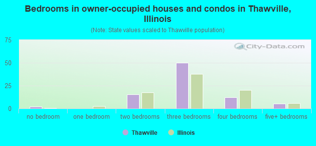 Bedrooms in owner-occupied houses and condos in Thawville, Illinois