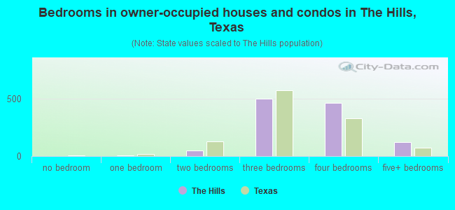 Bedrooms in owner-occupied houses and condos in The Hills, Texas