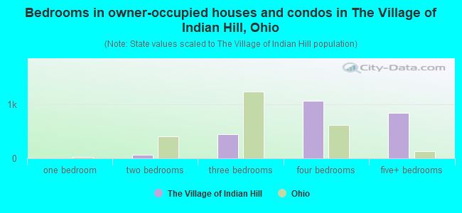 Bedrooms in owner-occupied houses and condos in The Village of Indian Hill, Ohio