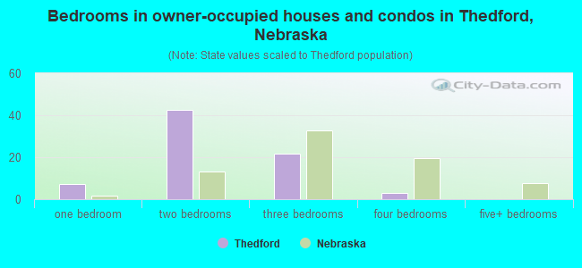 Bedrooms in owner-occupied houses and condos in Thedford, Nebraska