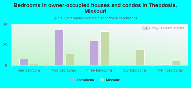 Bedrooms in owner-occupied houses and condos in Theodosia, Missouri