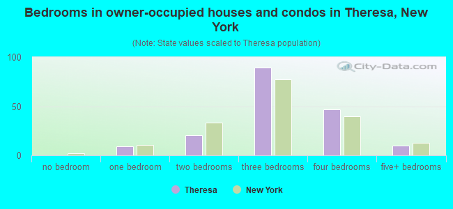 Bedrooms in owner-occupied houses and condos in Theresa, New York