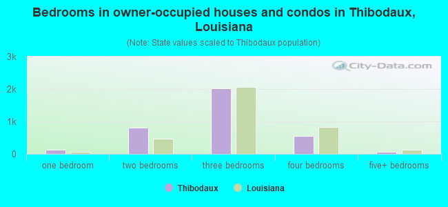 Bedrooms in owner-occupied houses and condos in Thibodaux, Louisiana