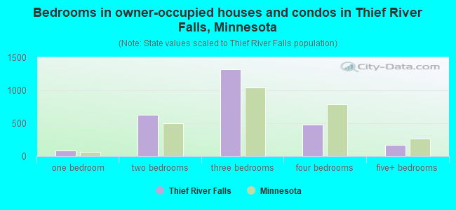 Bedrooms in owner-occupied houses and condos in Thief River Falls, Minnesota