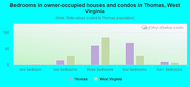 Bedrooms in owner-occupied houses and condos in Thomas, West Virginia