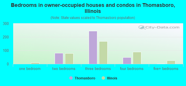 Bedrooms in owner-occupied houses and condos in Thomasboro, Illinois
