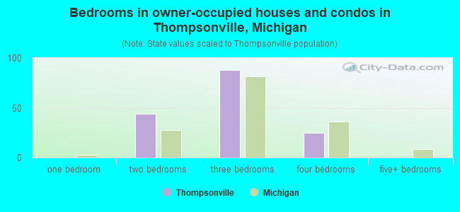 Bedrooms in owner-occupied houses and condos in Thompsonville, Michigan