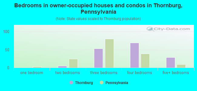 Bedrooms in owner-occupied houses and condos in Thornburg, Pennsylvania