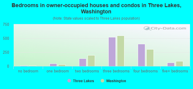 Bedrooms in owner-occupied houses and condos in Three Lakes, Washington