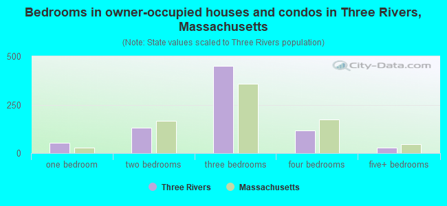 Bedrooms in owner-occupied houses and condos in Three Rivers, Massachusetts