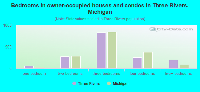 Bedrooms in owner-occupied houses and condos in Three Rivers, Michigan