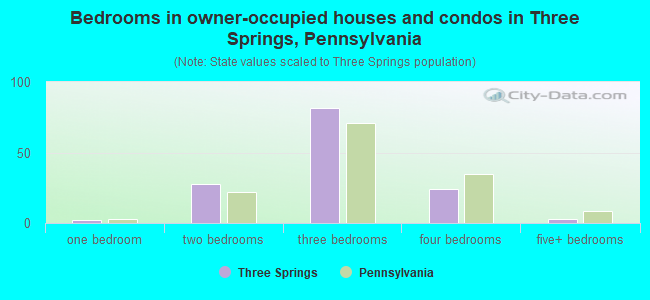 Bedrooms in owner-occupied houses and condos in Three Springs, Pennsylvania