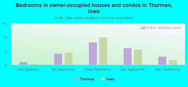 Bedrooms in owner-occupied houses and condos in Thurman, Iowa