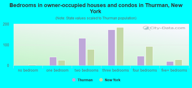 Bedrooms in owner-occupied houses and condos in Thurman, New York