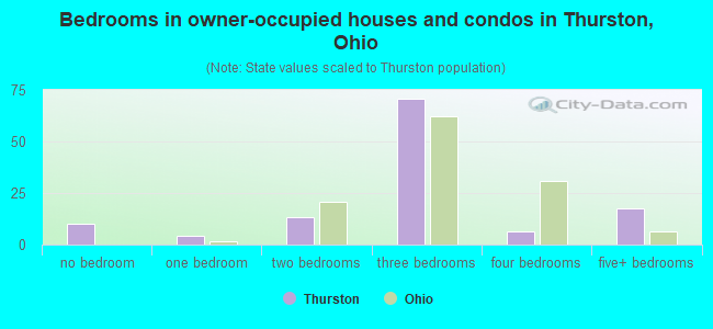 Bedrooms in owner-occupied houses and condos in Thurston, Ohio
