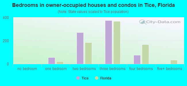 Bedrooms in owner-occupied houses and condos in Tice, Florida