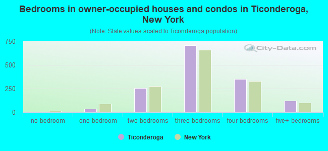 Bedrooms in owner-occupied houses and condos in Ticonderoga, New York