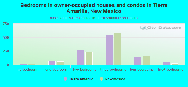 Bedrooms in owner-occupied houses and condos in Tierra Amarilla, New Mexico
