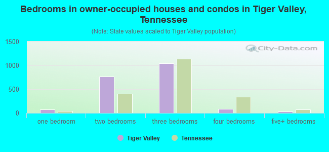 Bedrooms in owner-occupied houses and condos in Tiger Valley, Tennessee