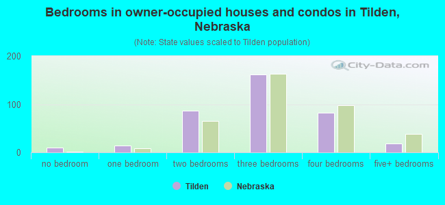Bedrooms in owner-occupied houses and condos in Tilden, Nebraska