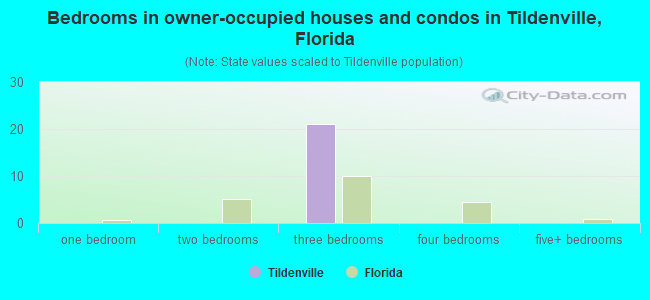 Bedrooms in owner-occupied houses and condos in Tildenville, Florida