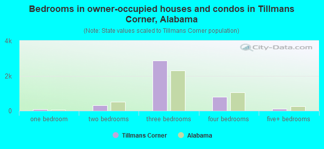 Bedrooms in owner-occupied houses and condos in Tillmans Corner, Alabama