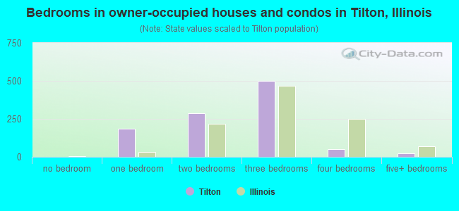 Bedrooms in owner-occupied houses and condos in Tilton, Illinois