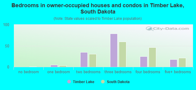 Bedrooms in owner-occupied houses and condos in Timber Lake, South Dakota