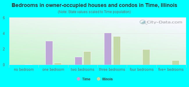 Bedrooms in owner-occupied houses and condos in Time, Illinois