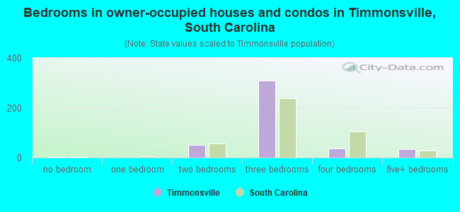 Bedrooms in owner-occupied houses and condos in Timmonsville, South Carolina