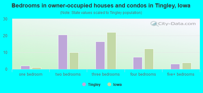 Bedrooms in owner-occupied houses and condos in Tingley, Iowa