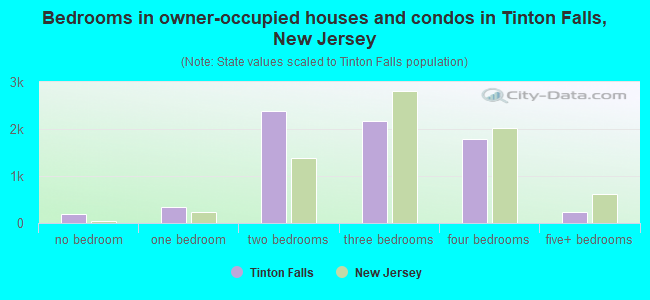 Bedrooms in owner-occupied houses and condos in Tinton Falls, New Jersey