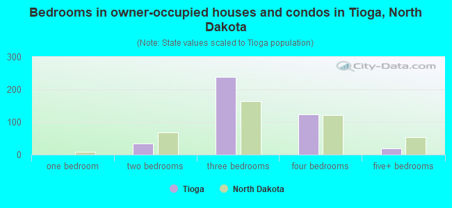 Bedrooms in owner-occupied houses and condos in Tioga, North Dakota