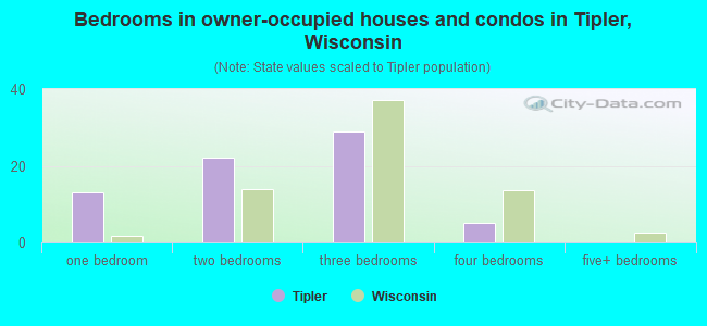 Bedrooms in owner-occupied houses and condos in Tipler, Wisconsin