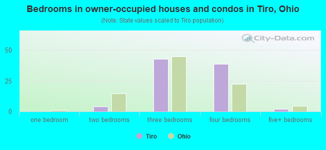 Bedrooms in owner-occupied houses and condos in Tiro, Ohio