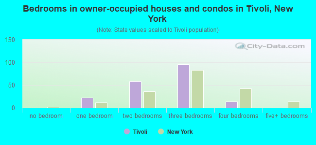 Bedrooms in owner-occupied houses and condos in Tivoli, New York