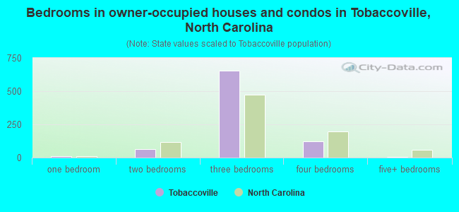 Bedrooms in owner-occupied houses and condos in Tobaccoville, North Carolina