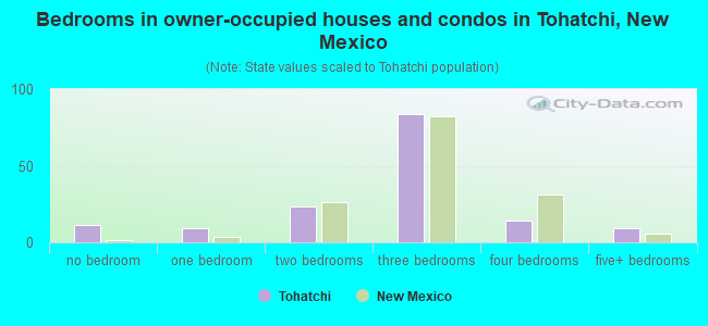 Bedrooms in owner-occupied houses and condos in Tohatchi, New Mexico