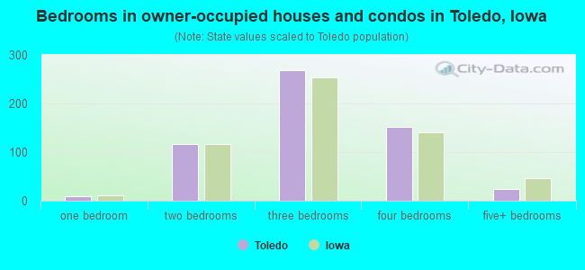 Bedrooms in owner-occupied houses and condos in Toledo, Iowa