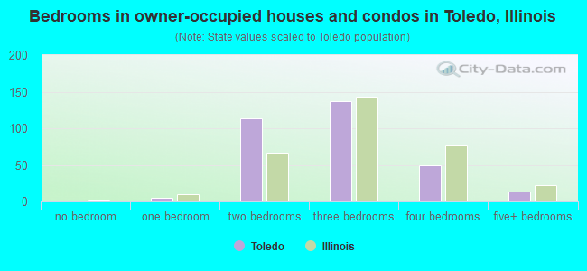 Bedrooms in owner-occupied houses and condos in Toledo, Illinois