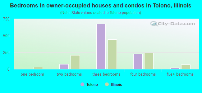 Bedrooms in owner-occupied houses and condos in Tolono, Illinois