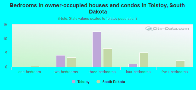 Bedrooms in owner-occupied houses and condos in Tolstoy, South Dakota