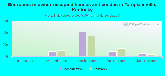 Bedrooms in owner-occupied houses and condos in Tompkinsville, Kentucky