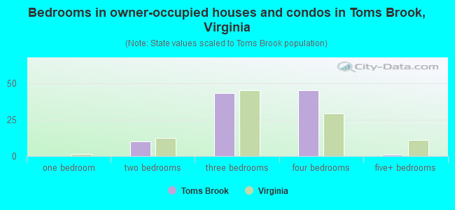 Bedrooms in owner-occupied houses and condos in Toms Brook, Virginia