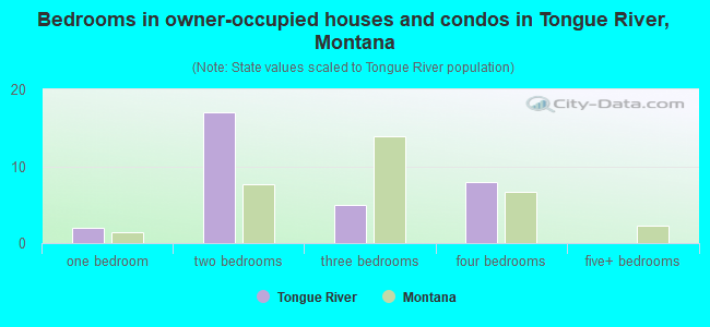Bedrooms in owner-occupied houses and condos in Tongue River, Montana
