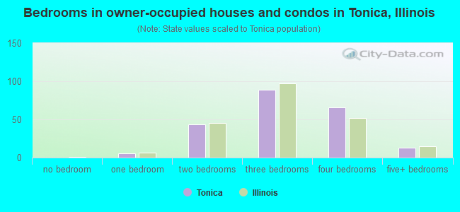 Bedrooms in owner-occupied houses and condos in Tonica, Illinois